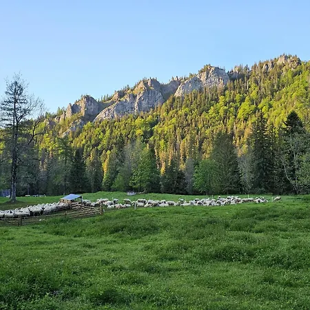 Lejlighed Gosciniec Kuznice