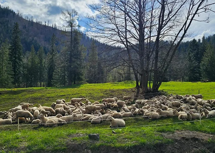 Gosciniec Kuznice Appartement