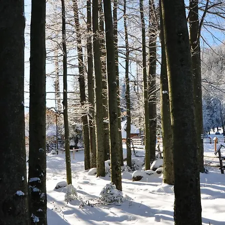 Gosciniec Kuznice Apartamento Zakopane