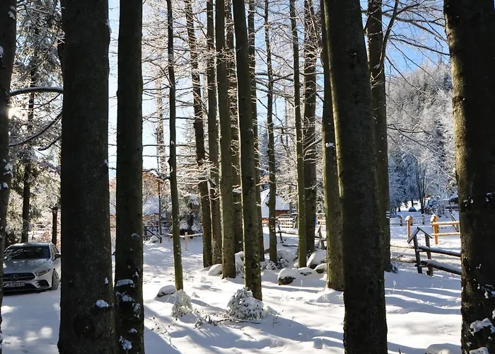 Gosciniec Kuznice Appartement Zakopane