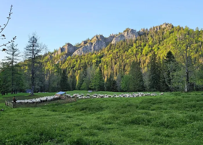 Appartement Gosciniec Kuznice